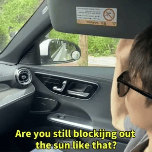 Car Sunshade and Electrostatic Barrier