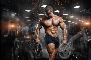 NP Nutrition - L-Glutamin & BCAA (Original)