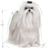 Royal Canin Bhn Maltese Adult 1.5 KGBreed Health Nutrition DogFood