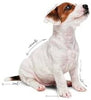 Royal Canin, Mini Puppy Pouch Wet Dog Food, 85 grams, Pack of 12