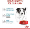 Royal Canin, Mini Puppy Pouch Wet Dog Food, 85 grams, Pack of 12