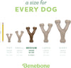 Benebone Wishbone Dog Chew Toy – Chicken