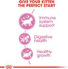 ROYAL CANIN Feline Health Nutrition Kitten 2 KG