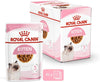 Royal Canin FHN Feline Health Nutrition Kitten Gravy 12x 85gm Cat Wet Food Pouches