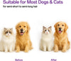 ACE2ACE Cat Brush, Dog Brush, Self Cleaning Cat Dog Slicker Brush, Pet Grooming Comb Brush for Long and Short Haired Cats Dogs, Purple