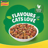 Friskies Purina Cat Food Indoor Delights Dry Cat Food 1Kg