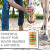 Veterinary Liniment Gel, 12oz