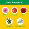Miracle-Gro 2000992 Water Soluble All Purpose Plant Food, 0.5Lb/8 oz
