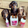 Pretty Pooch Gentle Touch Dog Shampoo & Conditioner 2 Litres (Baby Powder Fragrance) A Non-itchy, Professional Deep Cleaning Shampoo for Dogs with Sensitive Skin! (2 Litre Baby Powder), Pink, PP04