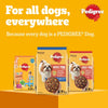 Pedigree Dog Food, Adult Mini, Beef, Lamb & Vegetables Flavour Dog Food Dry, 1.5Kg, Complete & Balanced Dog Dry Food For Mini Adult Dogs 9 Months and Up