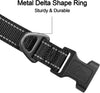 Joytale Dog Collar, Reflective Padded Neoprene Pet Collar, Adjustable Nylon Collars for Extra Small and Puppy Dogs, XS, Black