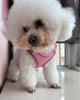 SOLMOONY No Pull Dog Harness & Leash Set, Small to Large Sizes, Mesh, Pink