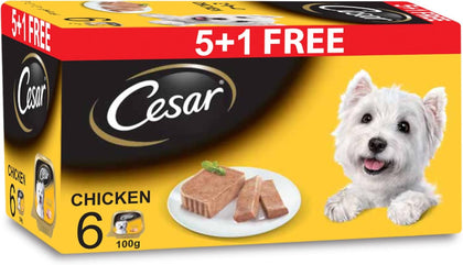 Cesar Dog Food, Chicken Dog Wet Food, Tray of 6x100g, Formulated Without Grains, Complete and Balanced Dog Nutrition