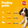 Pedigree Dog Food, Adult Mini, Beef, Lamb & Vegetables Flavour Dog Food Dry, 1.5Kg, Complete & Balanced Dog Dry Food For Mini Adult Dogs 9 Months and Up