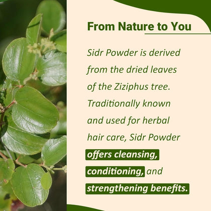 100% Natural Sidr Powder by mi nature 227g (237ml) (0.5 lb) Sidr leaves Powder for hair Natural Hair conditioner Natural source of mucilages and saponins Natural hair cleanser