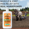 Veterinary Liniment Gel, 12oz