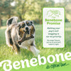 Benebone Wishbone Dog Chew Toy – Chicken
