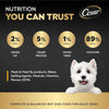 Cesar Dog Food, Chicken Dog Wet Food, Tray of 6x100g, Formulated Without Grains, Complete and Balanced Dog Nutrition