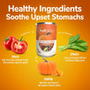Fruitables Superblend Digestive Supplement for Dogs and Cats - 425G