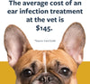 Dr.Gold'S Synergy Lab Ear Therapy 118ml 4Fl.Oz.. Pet Care Anti Fungal Anti Bacterial Anti Inflamatory Fgi00170