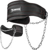 DMoose® Dip Belt for Weightlifting, Weight Belt with Chain for Pullup, Gym Lifting Belt for Powerlifting, Squat, Bodybuilding, Heavy Duty Steel, Workout Belt with Comfortable Neoprene Support
