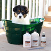 Isle of Dogs - Everyday Elements Silky Coating Conditioner For Dogs - Jasmine + Vanilla - Moisturizing Pet Conditioner With Aloe Leaf Juice For A Softer, Shinier Coat - 16.9 Oz, (711-16Oz)