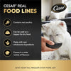 Cesar Dog Food, Chicken Dog Wet Food, Tray of 6x100g, Formulated Without Grains, Complete and Balanced Dog Nutrition
