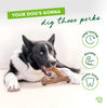 Benebone Wishbone Dog Chew Toy – Chicken