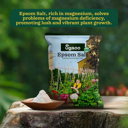 Ugaoo Epsom Salt for Plants Growth - Magnesium Sulphate Organic Fertilizer - 1 Kg |Powder
