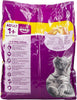 Whiskas Chicken Dry Cat Food, Bag of 3Kg, for Adult Cats 1+ Years, Cat Dry Food, for Healthy, Active Cats