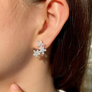Silver-Plated Cubic Zirconia Cluster Flower And Leaf Stud Earrings
